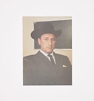 Photographic Views from a Wall