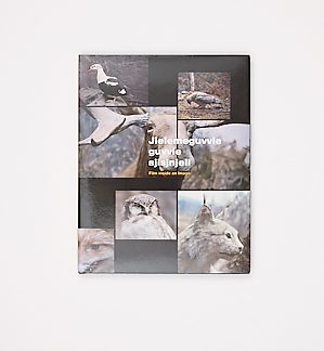 Jielemeguvvie guvvie sjisjnjeli, Film inside an image