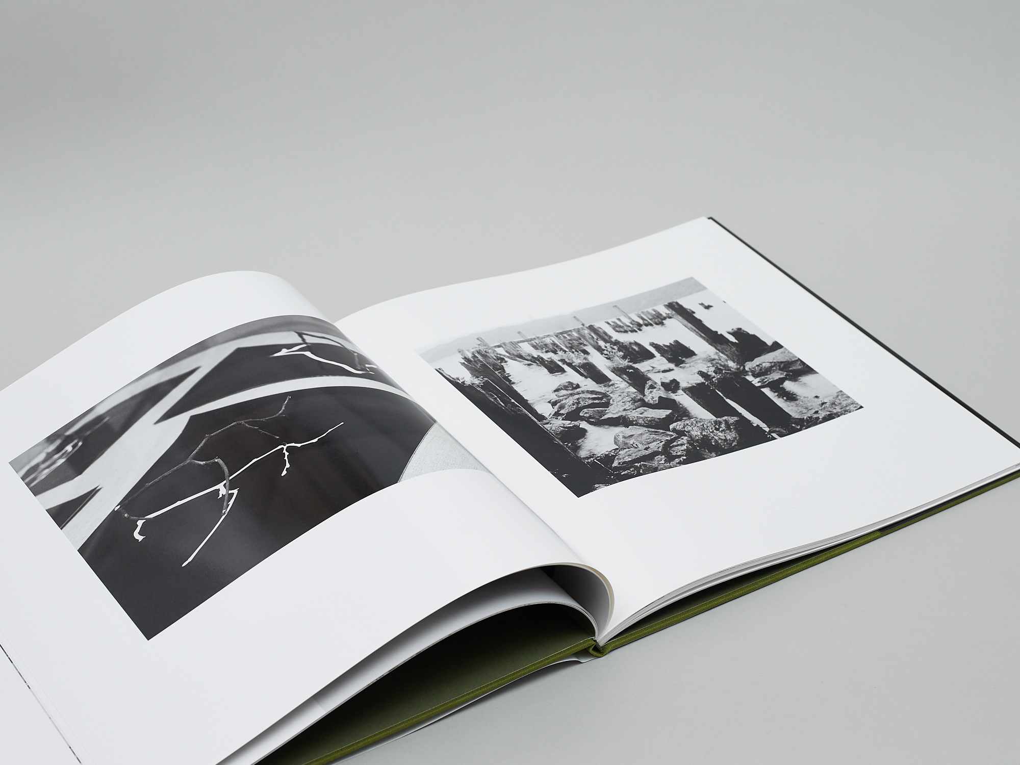 Gestalt Forms of Loch Ness - Image 4