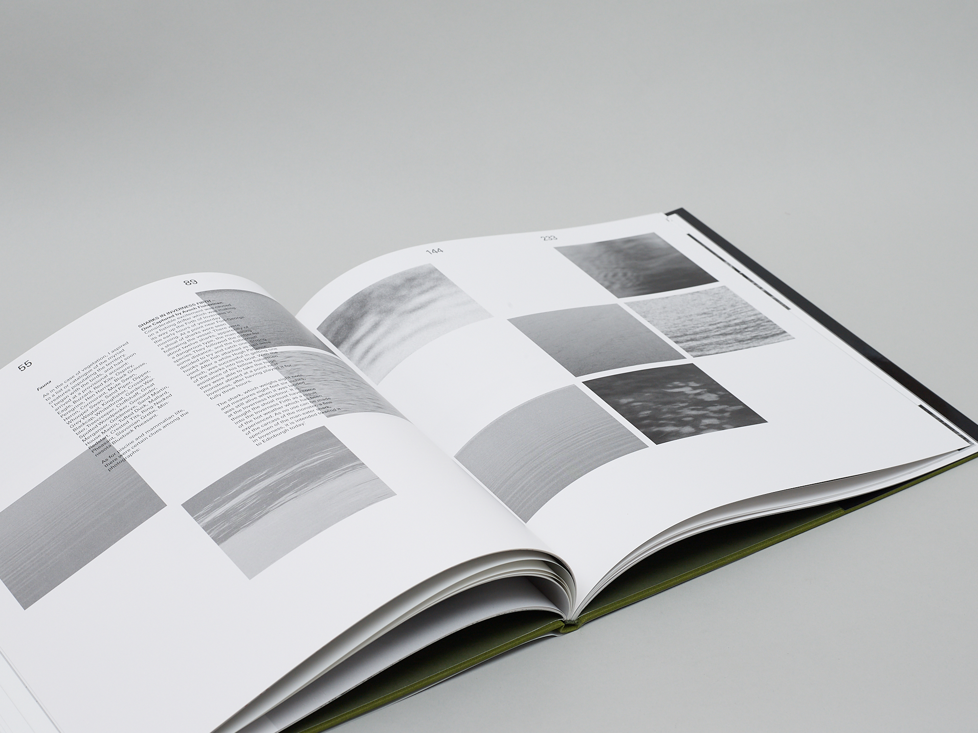 Gestalt Forms of Loch Ness - Image 5