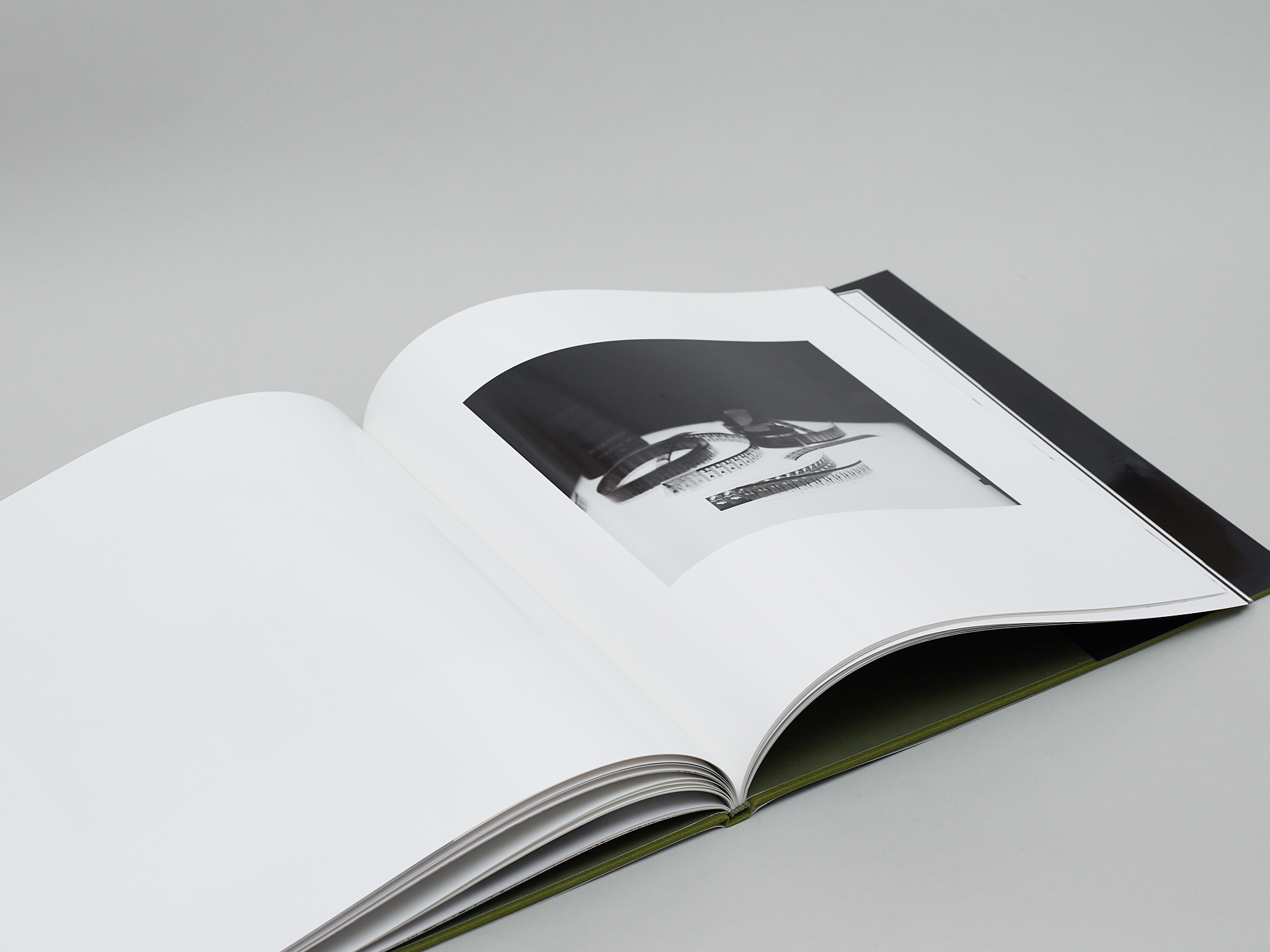 Gestalt Forms of Loch Ness - Image 6