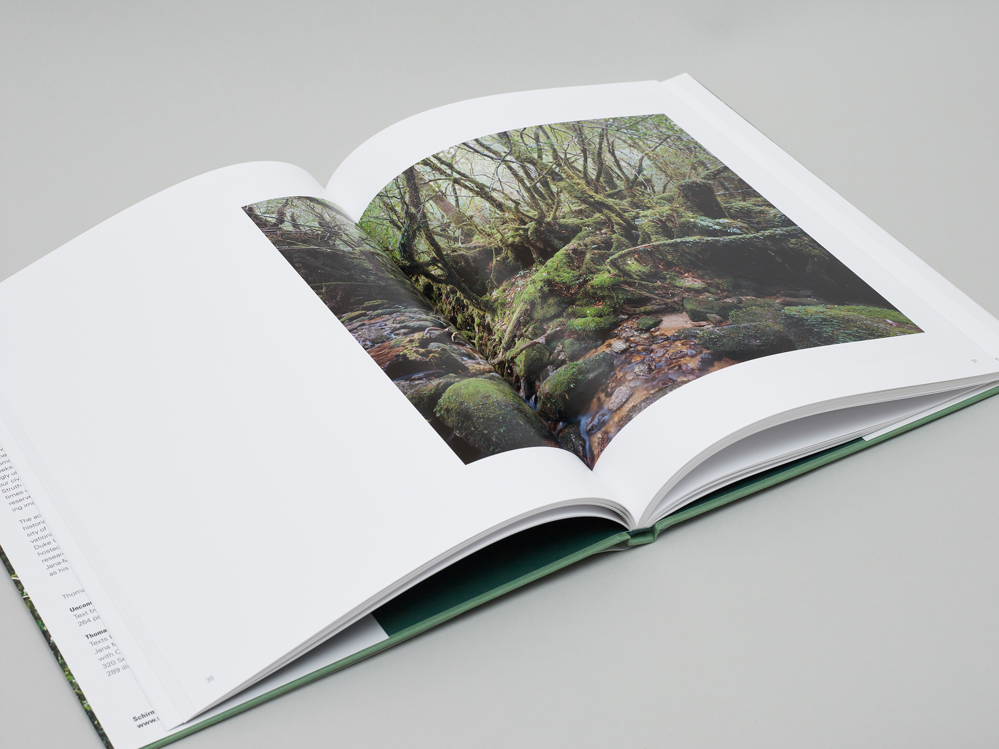 New Pictures from Paradise - Image 2