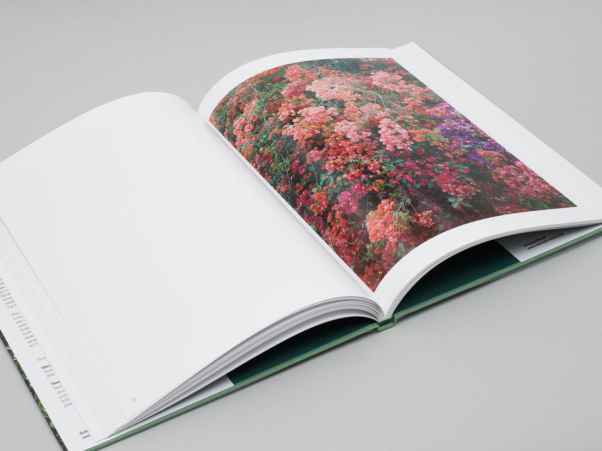 New Pictures from Paradise - Image 3