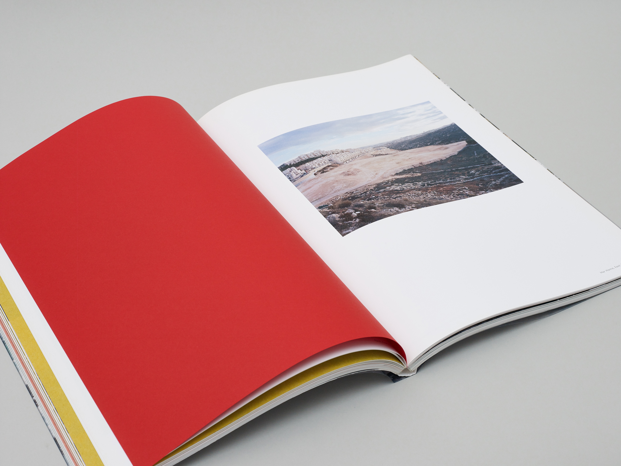 Nature & Politics - Image 4