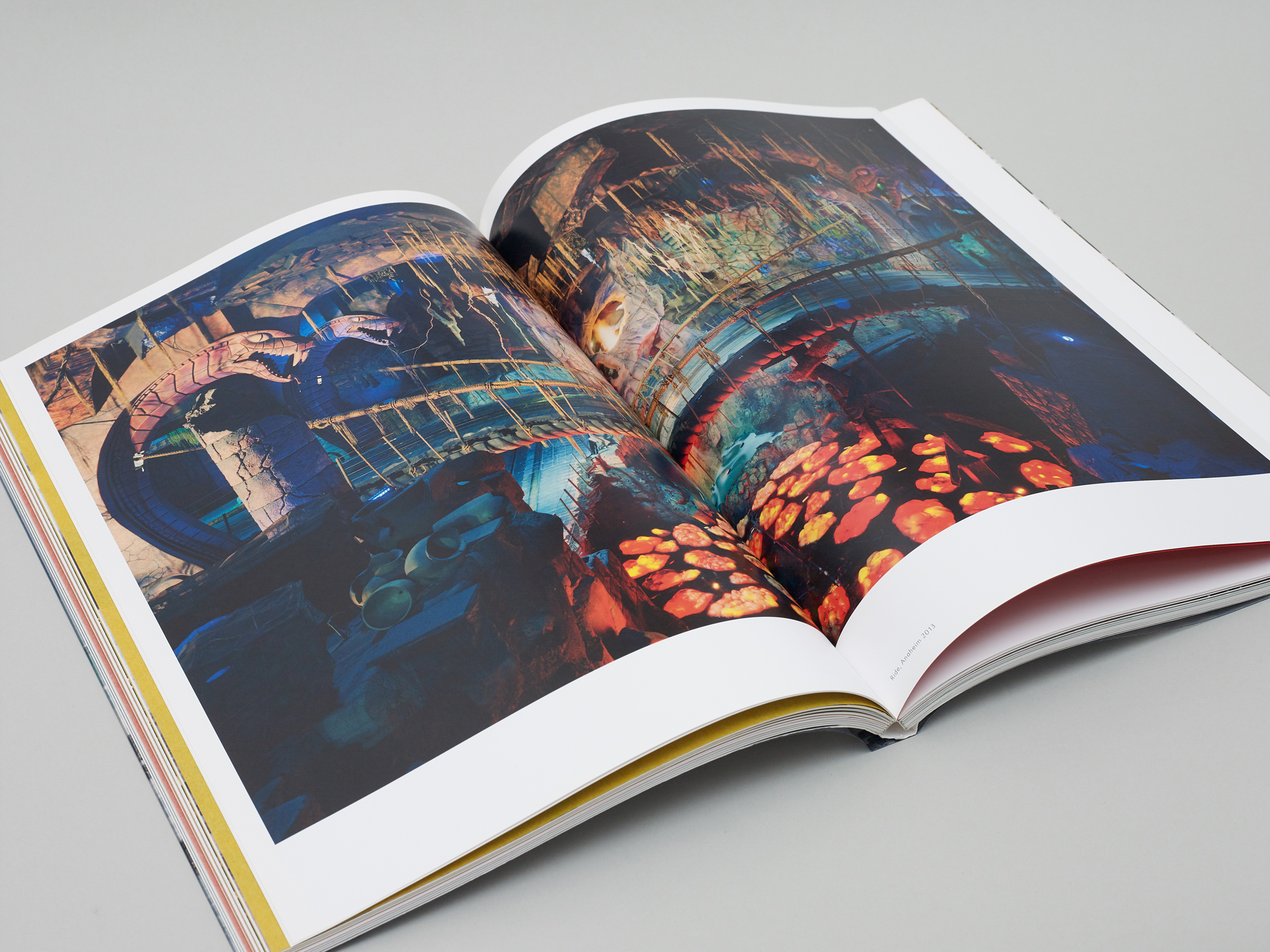 Nature & Politics - Image 5