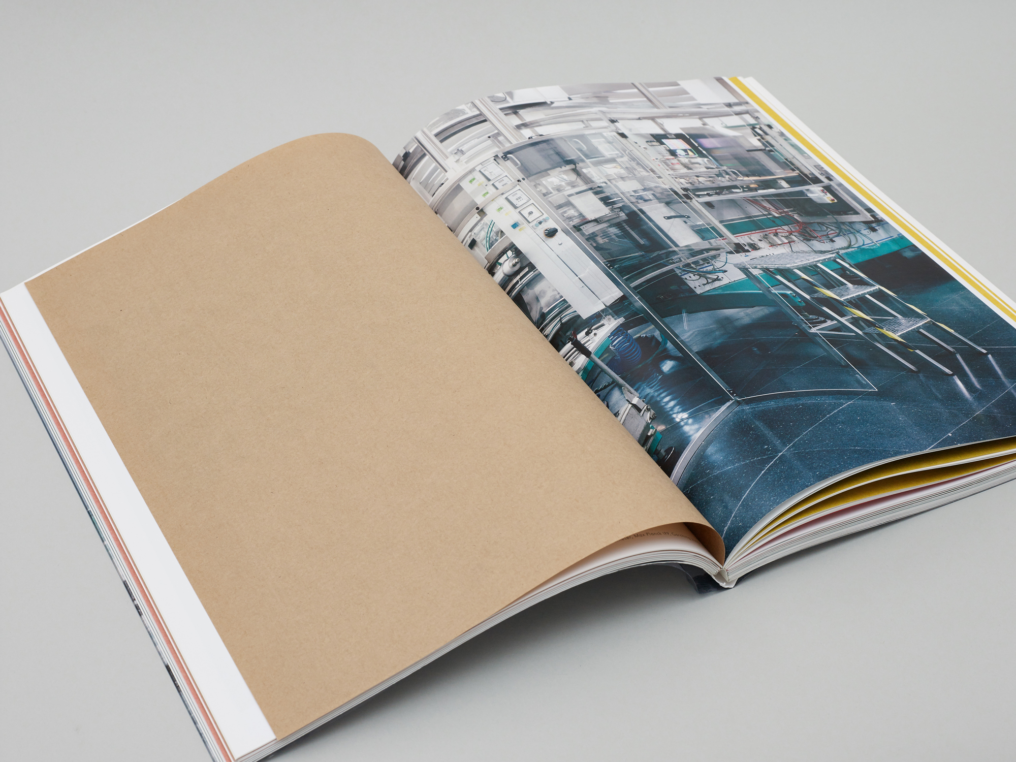 Nature & Politics - Image 6