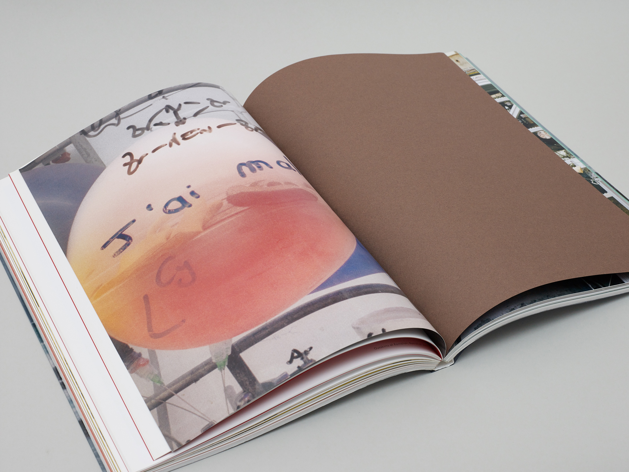 Nature & Politics - Image 7