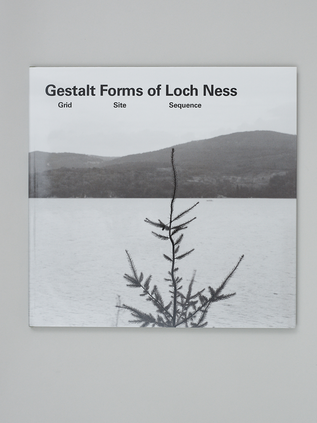 Gestalt Forms of Loch Ness - Image 2