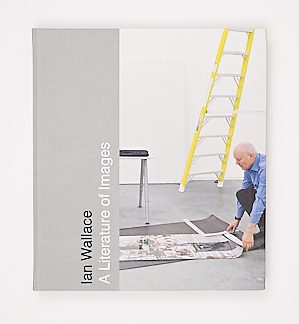 A Literature of Images